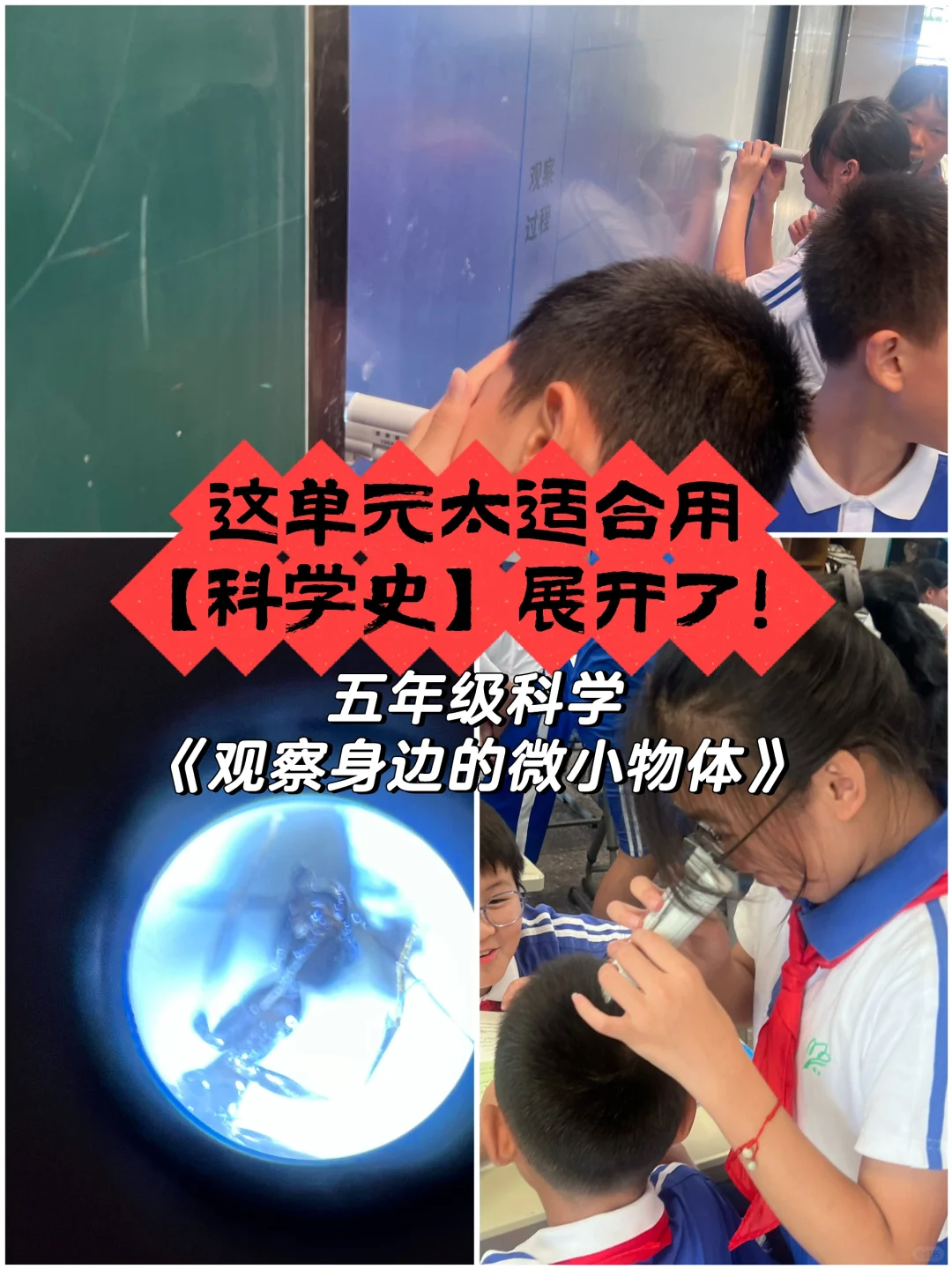 复现了一波16世纪末的显微镜热潮