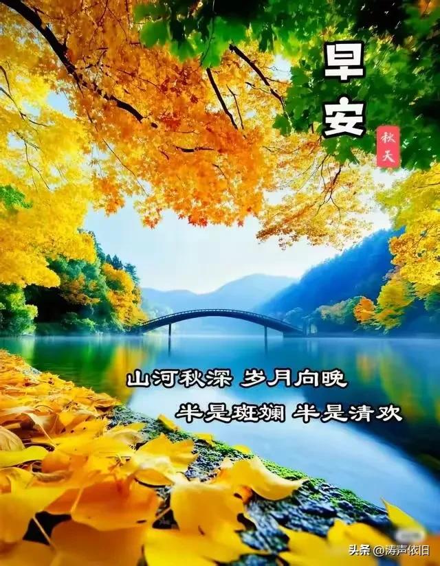 《菩萨蛮·惜缘寄友》

相逢问候常来往，
温言祝福情悠长。
知己不相忘，
良缘当