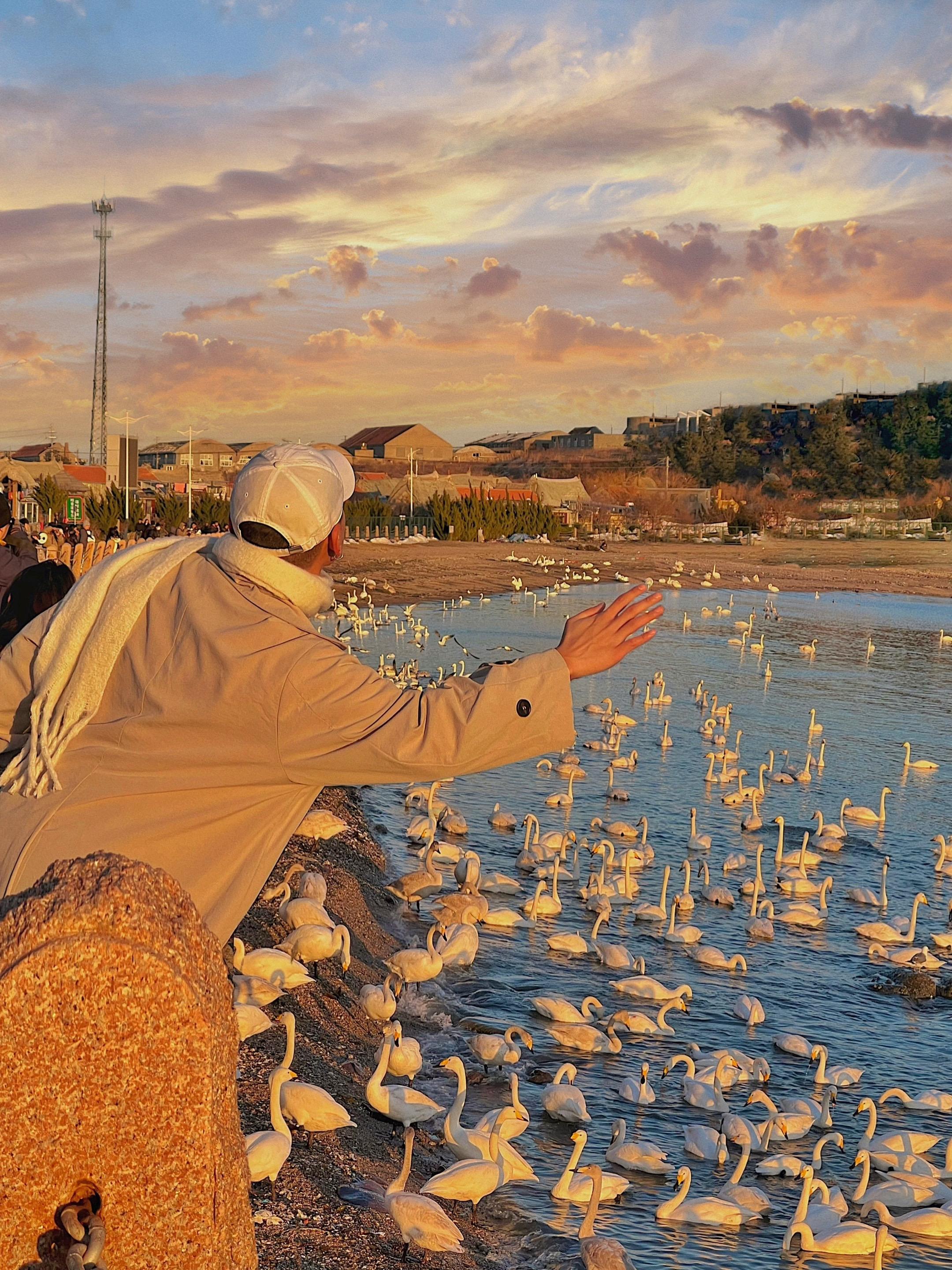 不是国外在威海🌅刚来就看到了这样的画面❗️。冬天❄️总要来威海看次天...