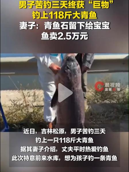 118斤大鱼卖了2.5万，最金贵的那块他却没卖
一条鱼，卖了2.5万块。但真正金