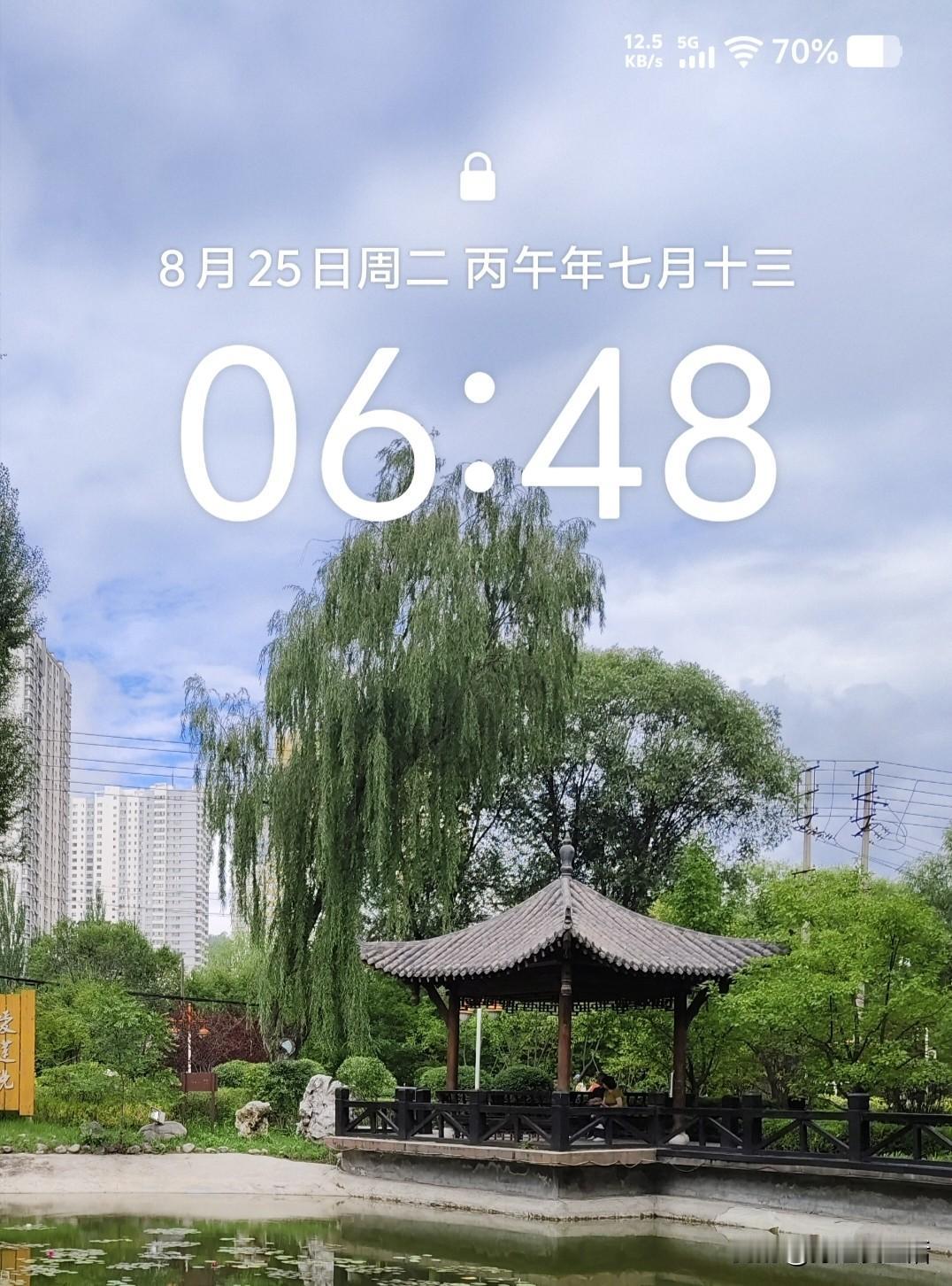赶场采买，今晚祭拜父母
又是一年中元节，今天天气有点热，吃过早饭去赶场赶场，购置