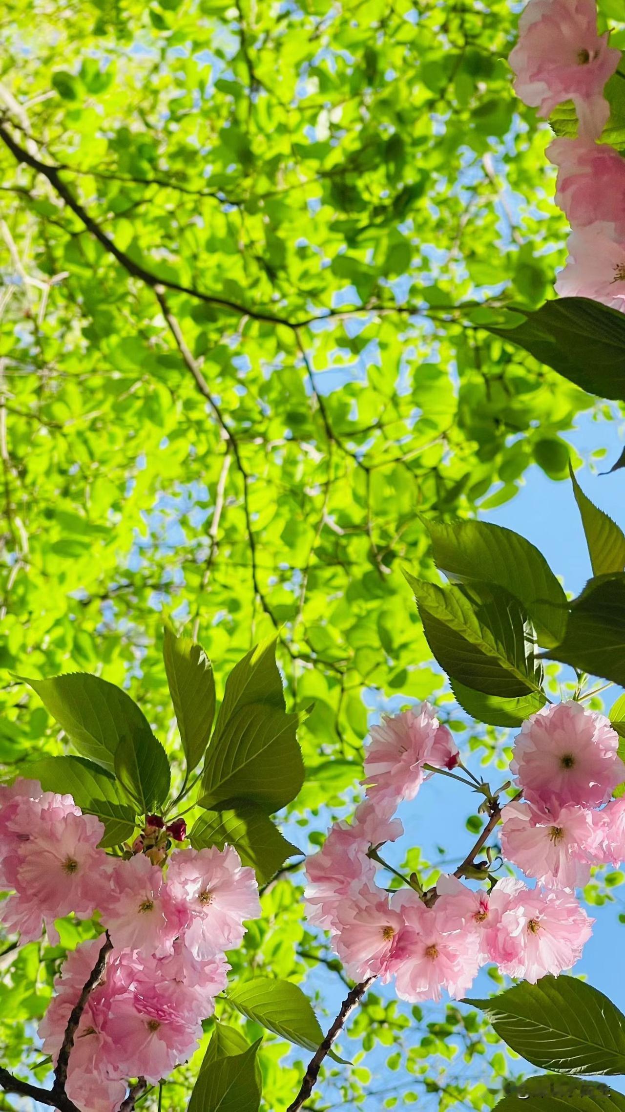 人这辈子，拼的不是精明，是钝感力与松弛感！
 
越来越明白：人生最好的状态，从来