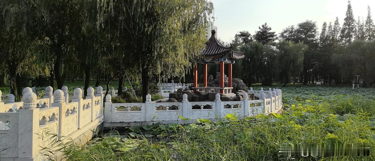 #空闲时，你喜欢去旅游吗#只要能走，我最喜欢去旅行。与大自然接触，欣赏身边的风土