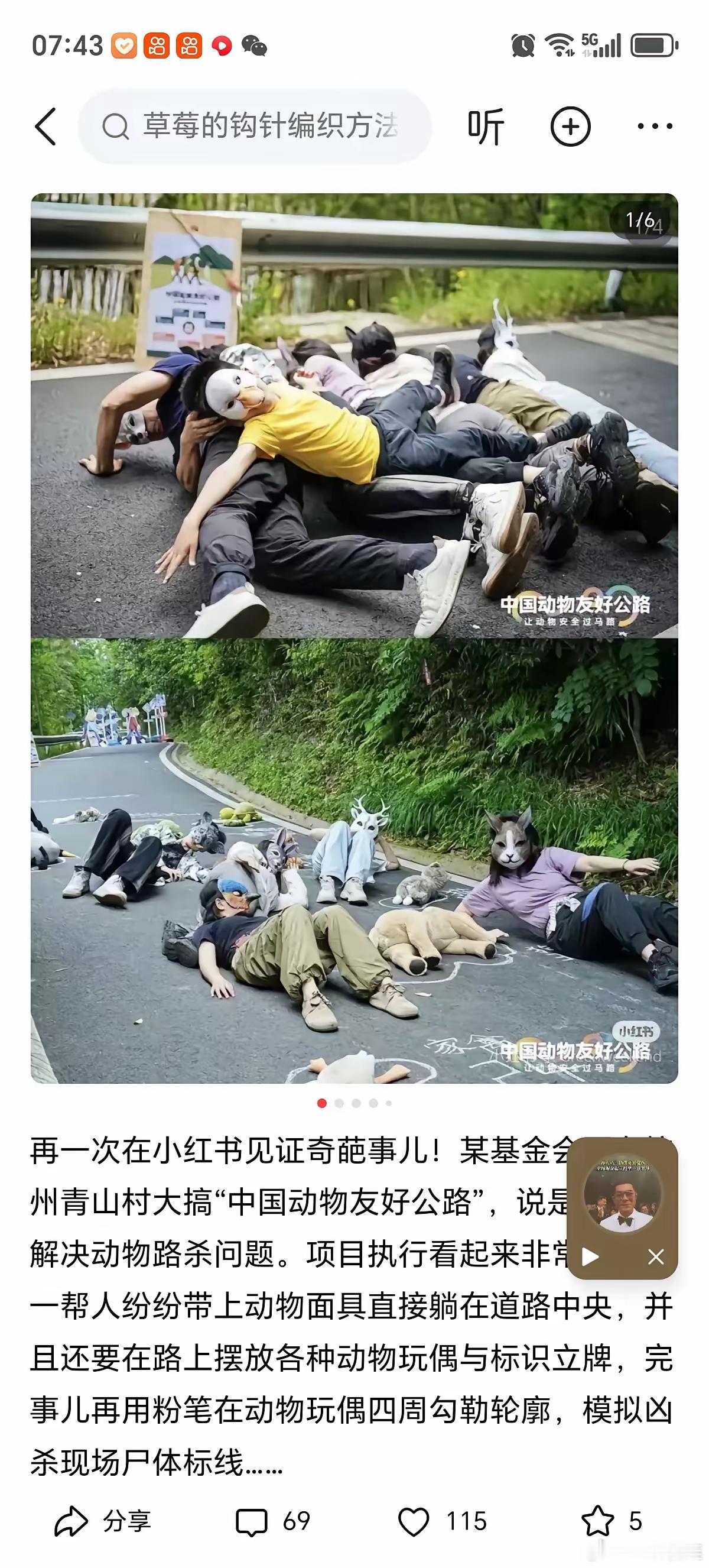 该对小动物保护组织进行严打取缔了，再这么纵容下去迟早会成为邪教，以前是为狗拦路抢