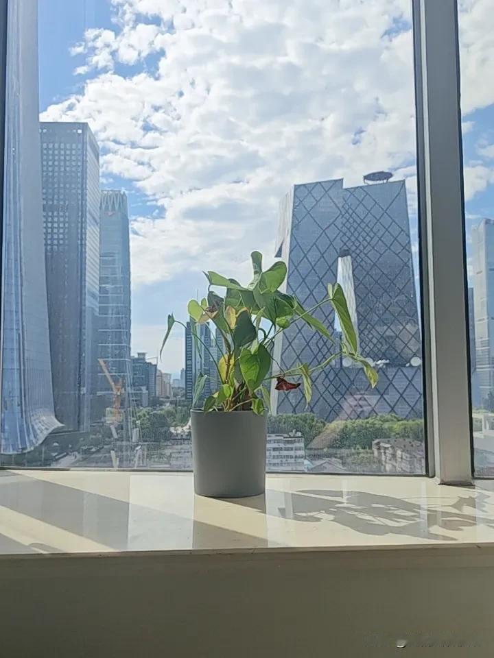 每当坐在国贸的办公室里，看着窗外云舒云卷，风景很美，可是心里总是不踏实。
律师不
