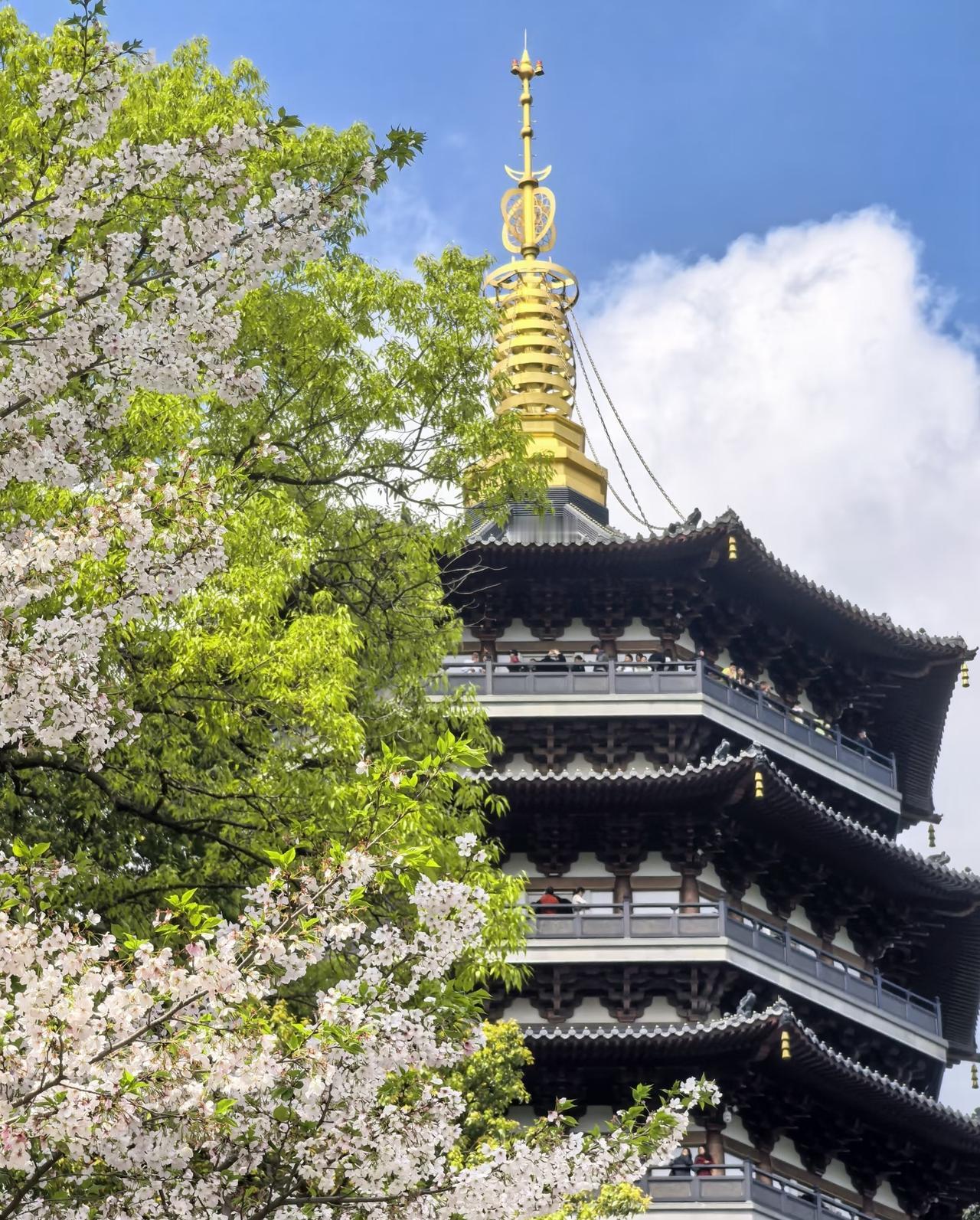 今年春天最想实现的心愿去拍摄一些美丽的春景图片，记录春天的气息。