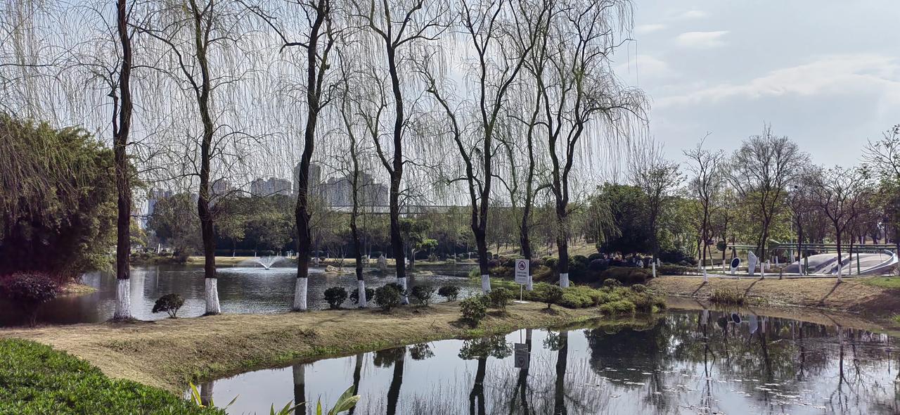 成都·北湖生态公园

北湖生态公园位于成都市成华区，在熊猫基地附近，是成都主城区