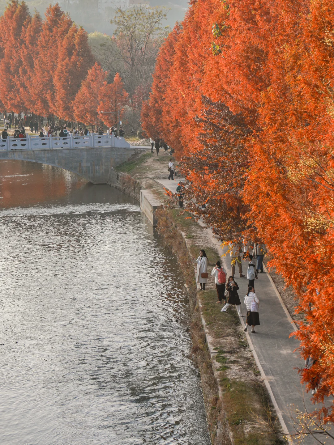 西安人有自己的塞纳湖畔…秋日氛围感拉满！