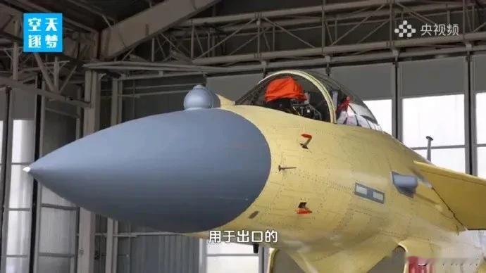 印尼看上中国歼10战机：正在评估。
歼10战机在印巴冲突中一战机出圈。其彪悍的战