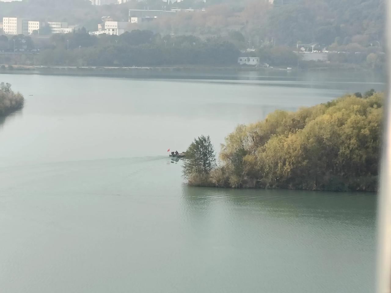 早上的中脊岛头，一轮小舟划过，留下一路波纹。