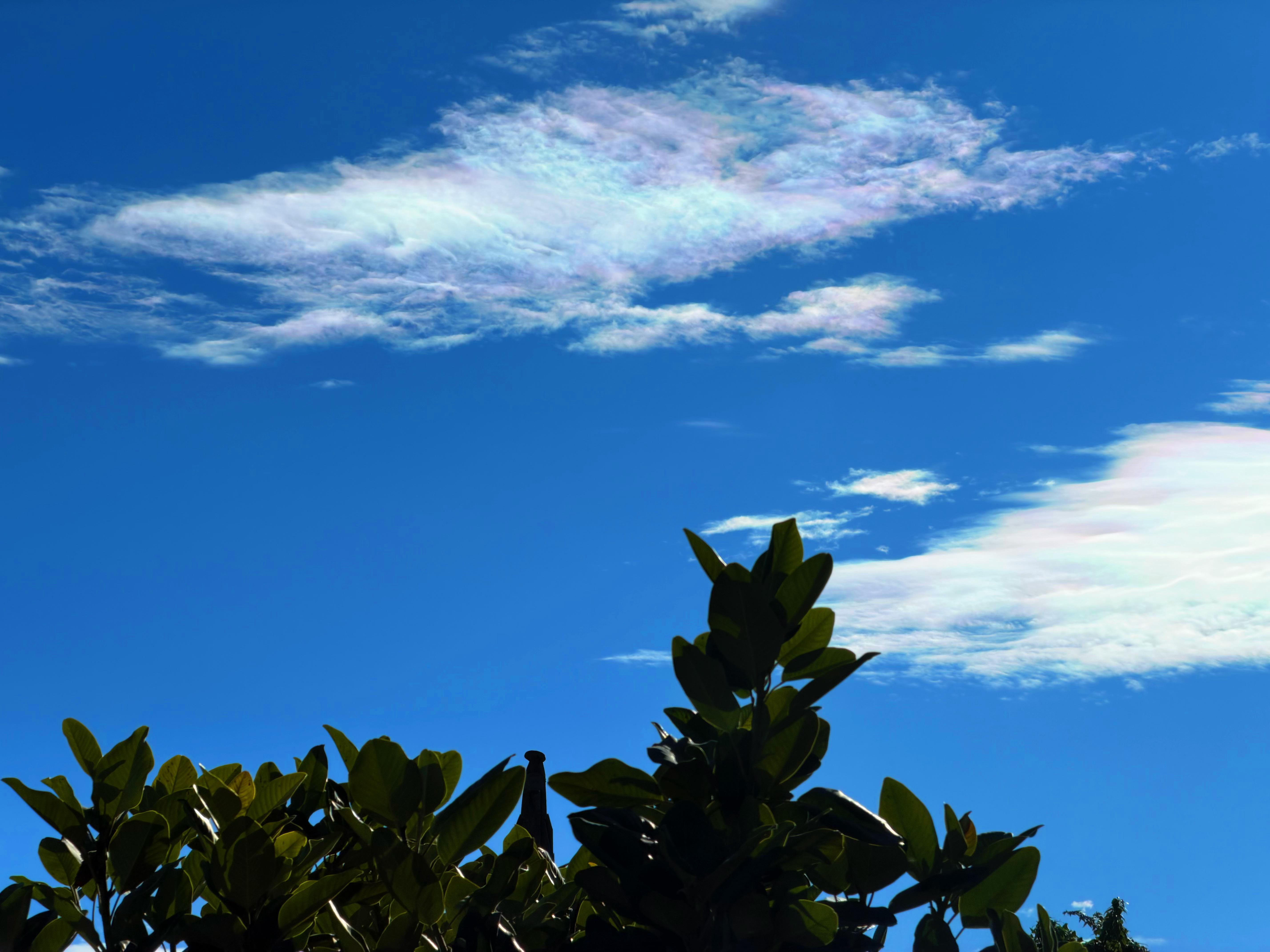 立春记录云南丽江今日份立春窗外的五彩祥云…… 丽江