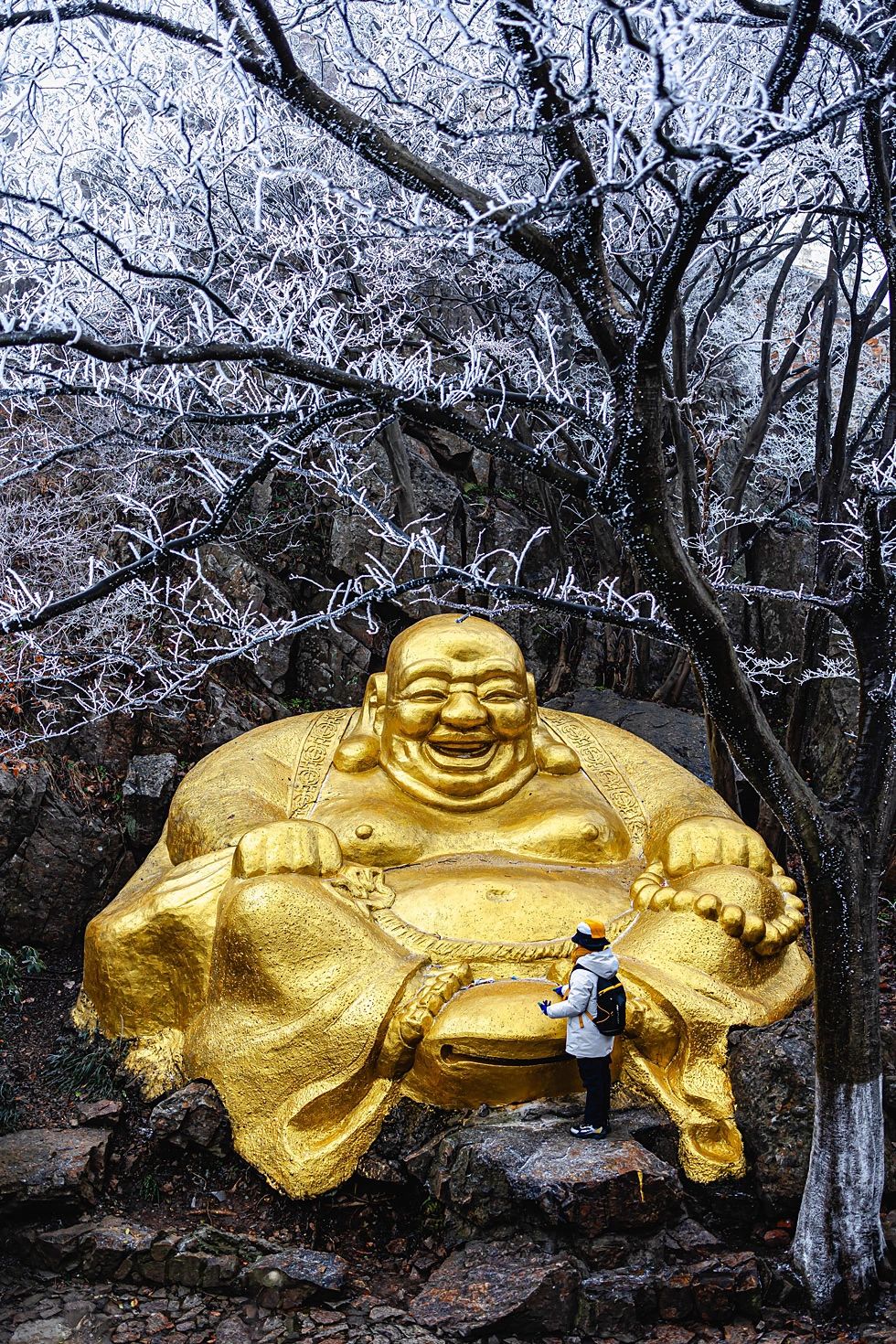 等不及明早了！下午就冲了紫金山雾凇，超值！