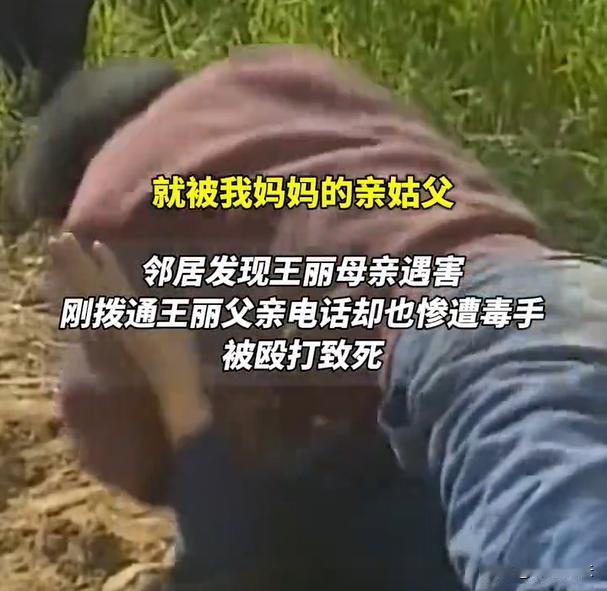 榆林，王女士的妈妈到自家玉米地里收玉米，发现自己的亲姑子居然在偷玉米。王女士妈妈