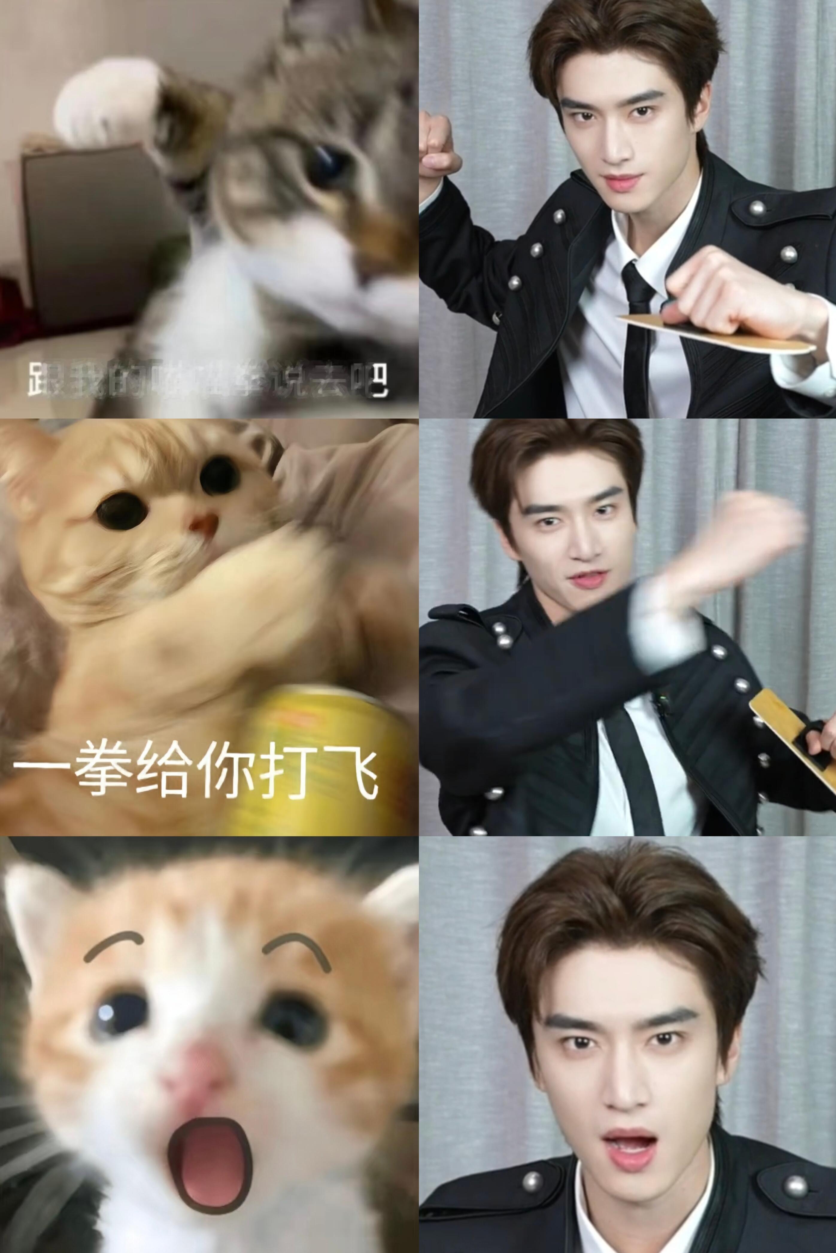 谁说张康乐不是猫 我第二个不答应 张康乐