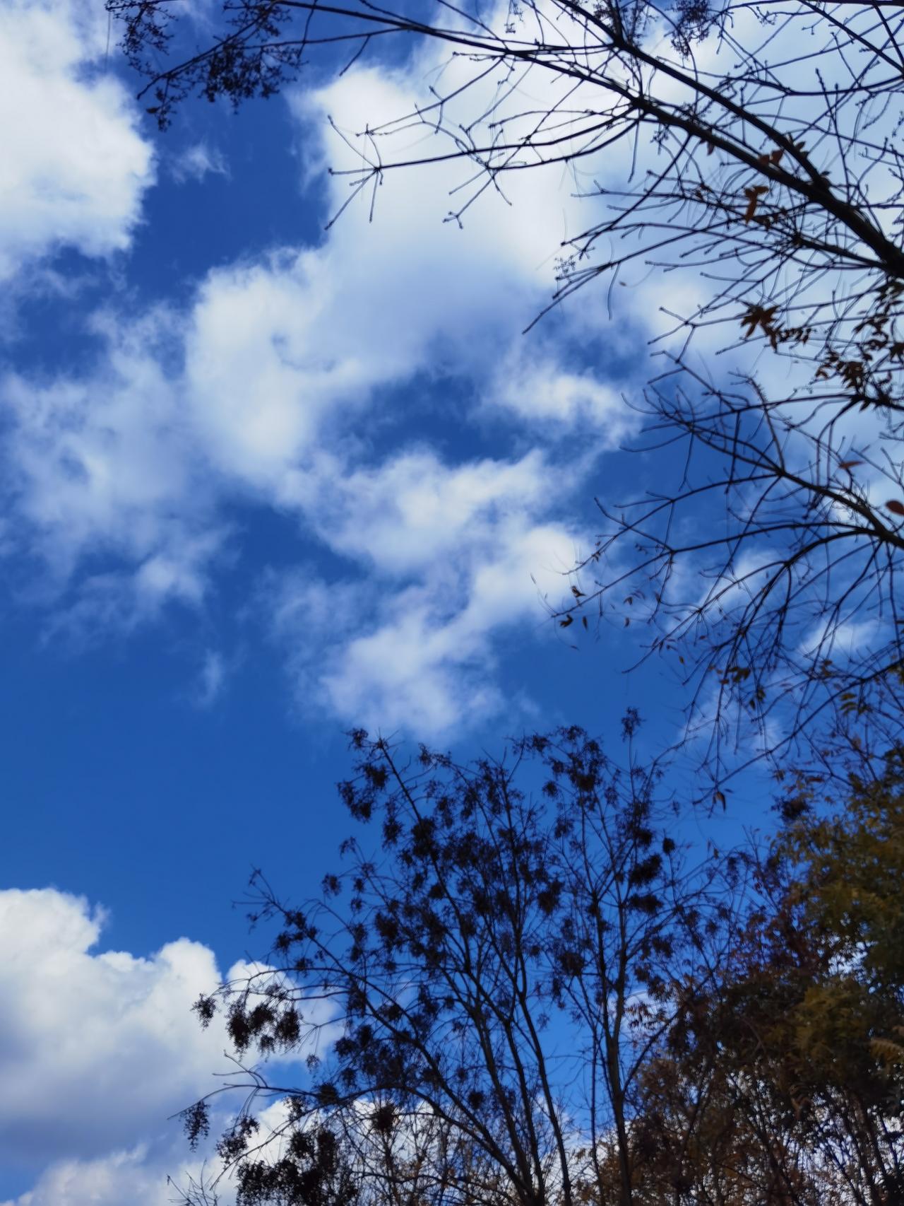 邻居住的阿姨，好久没见她出门了，还以为她出远门了，昨天见到她才知道，原来是腰上的