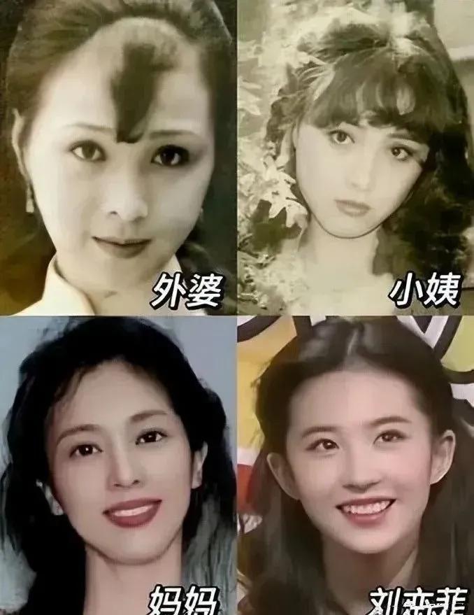 刘亦菲家三代四人颜值从高到低排序：小姨》外婆》妈妈》刘亦菲，大家觉得呢？