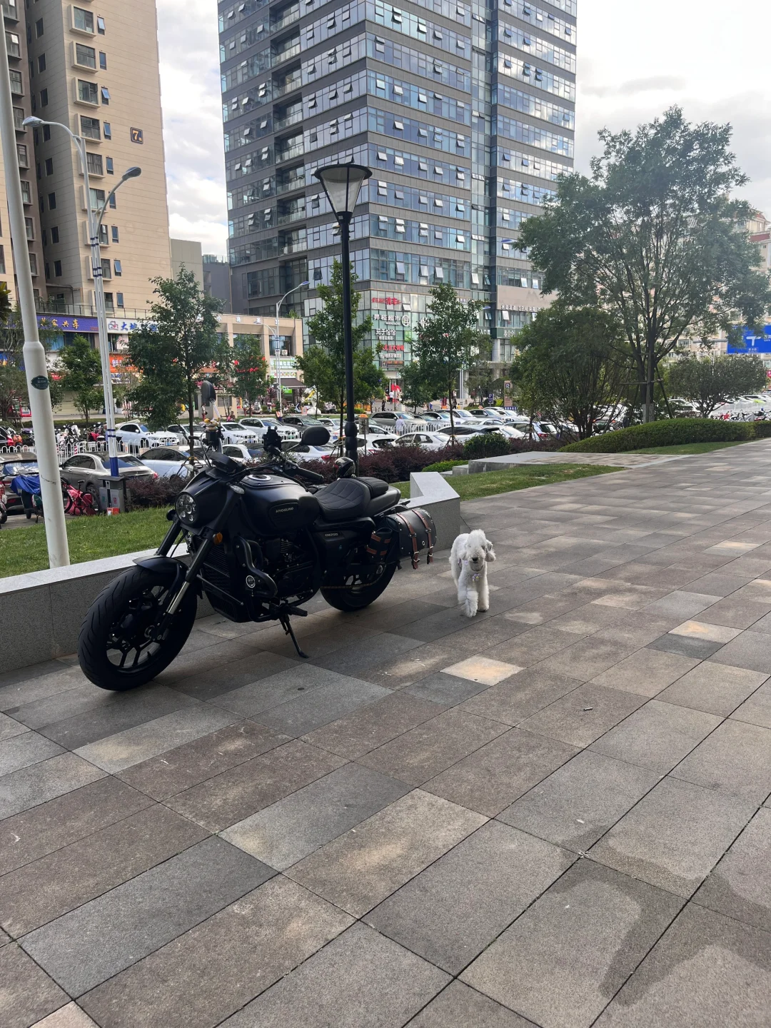 妈你觉得这车咋样，跟我很搭哎！