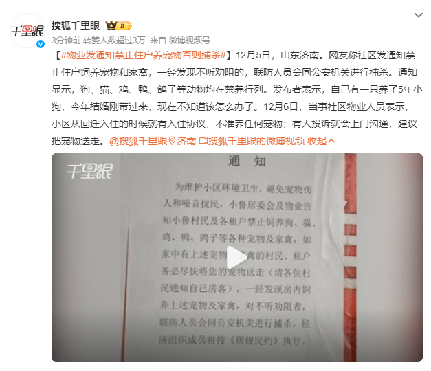 物业发通知禁止住户养宠物否则捕杀 有些物业还是太把自己当回事了正常只要文明饲养宠