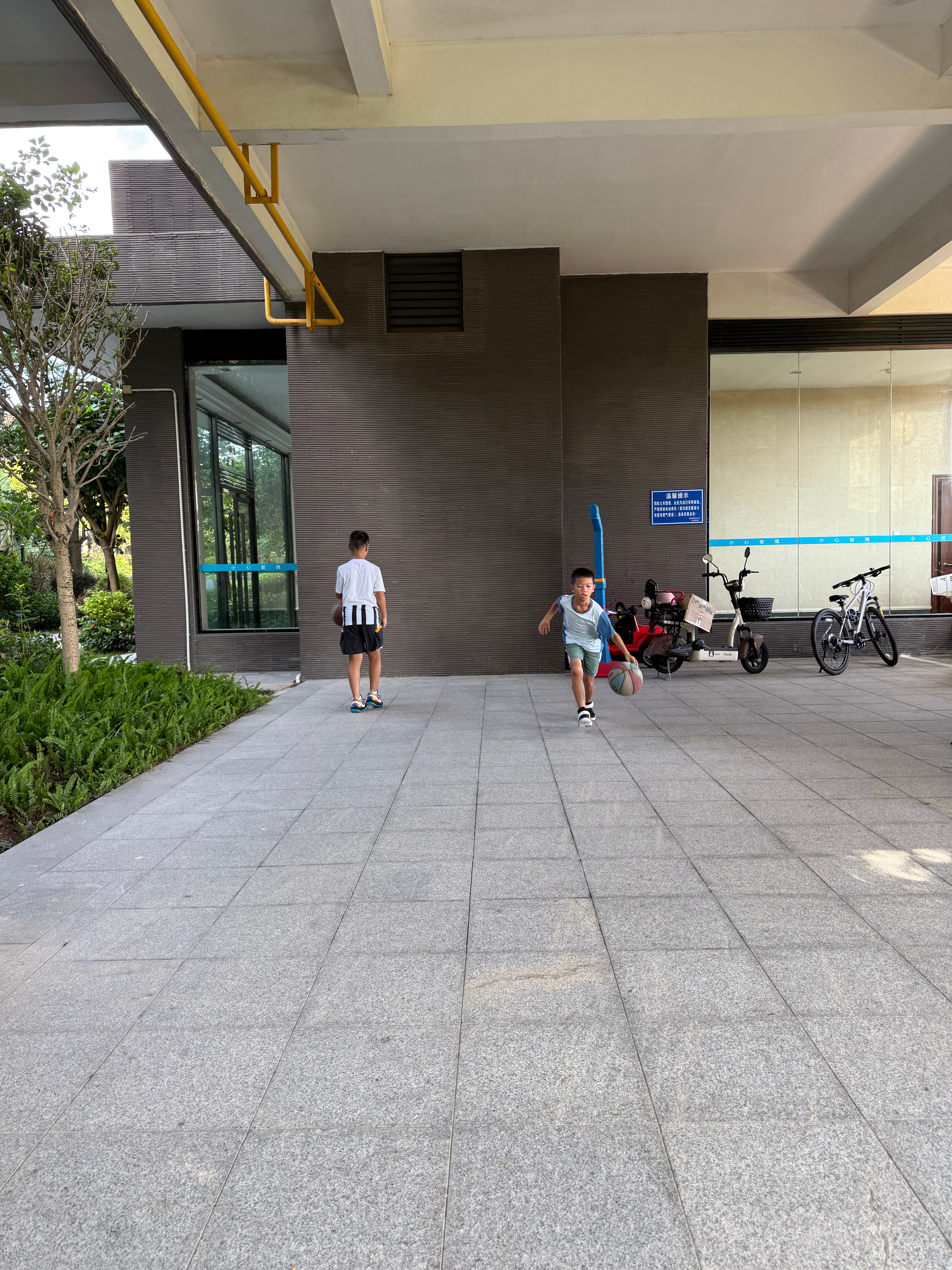 一大早，立省160×2=320，现在篮球班真不便宜。 ​​​