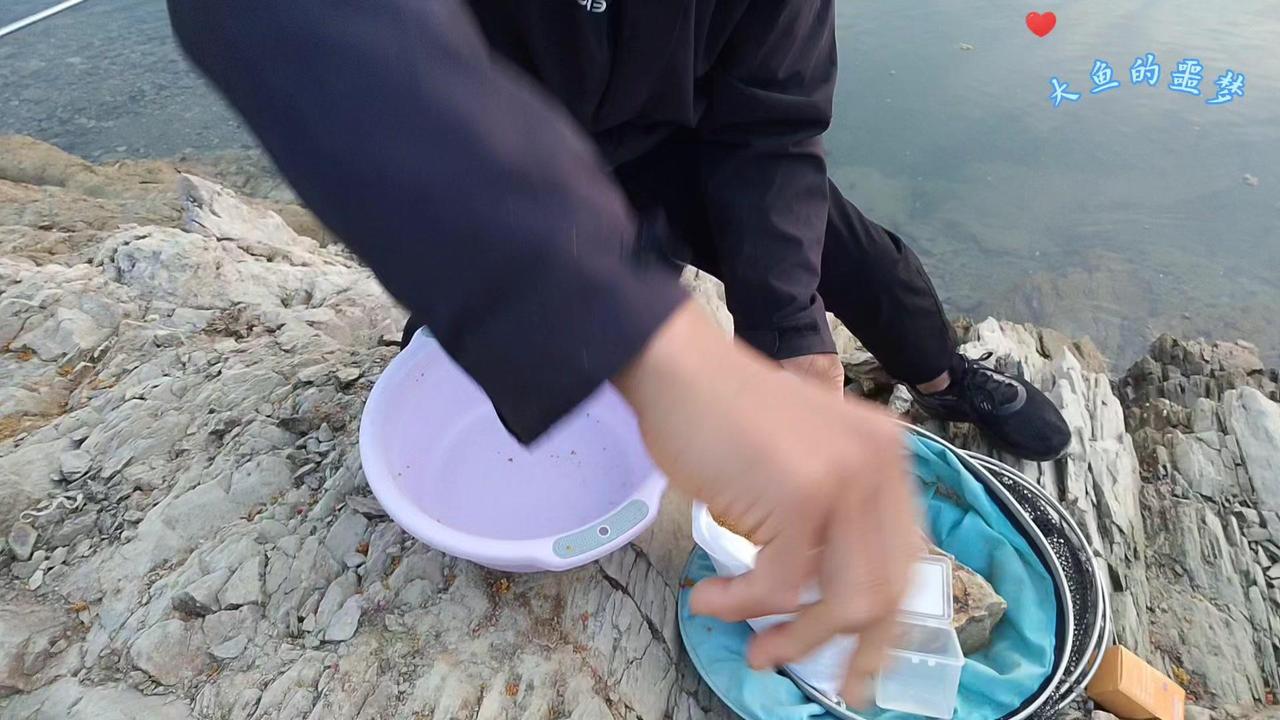 哪有泡泡球钓不到的鱼？这东西钓翘嘴、扁鱼、红尾、鲤鱼、草鱼都好钓，所以特意过来丹