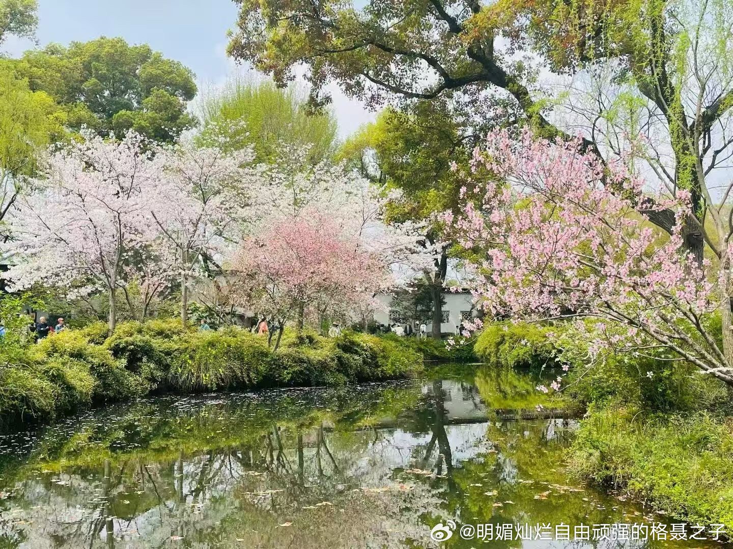 喜欢春天，色彩都仿佛带着新生的稚嫩与惊喜 