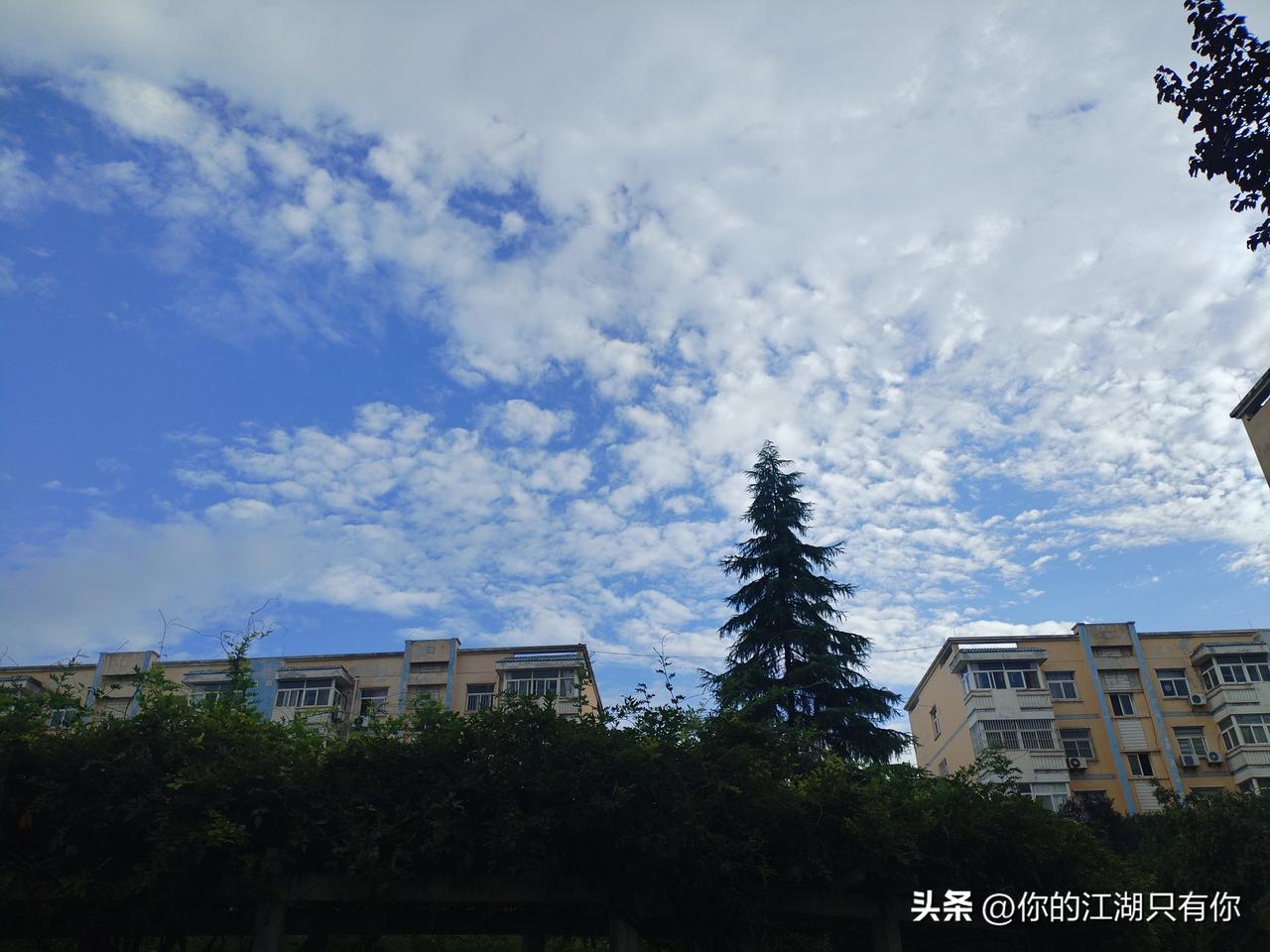 秋日生活打卡季