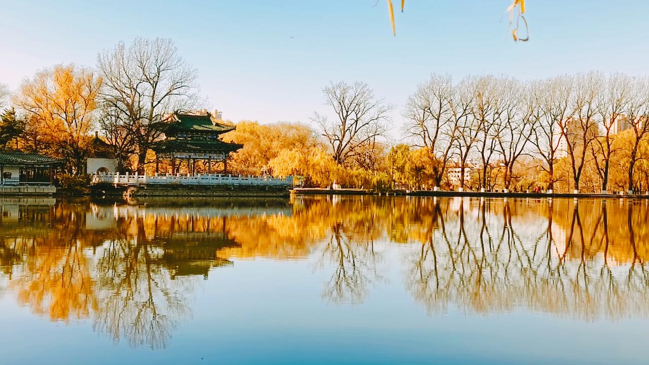 初冬的脚步轻盈地踏过二一九公园的每一寸土地，湖面如一面被时光打磨的古镜，静静地映