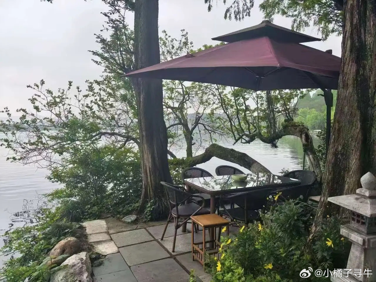 周四巿场值得关注板块：1 ，化工概念2，液冷泵3，卫星互联网4，农业种业5，消费