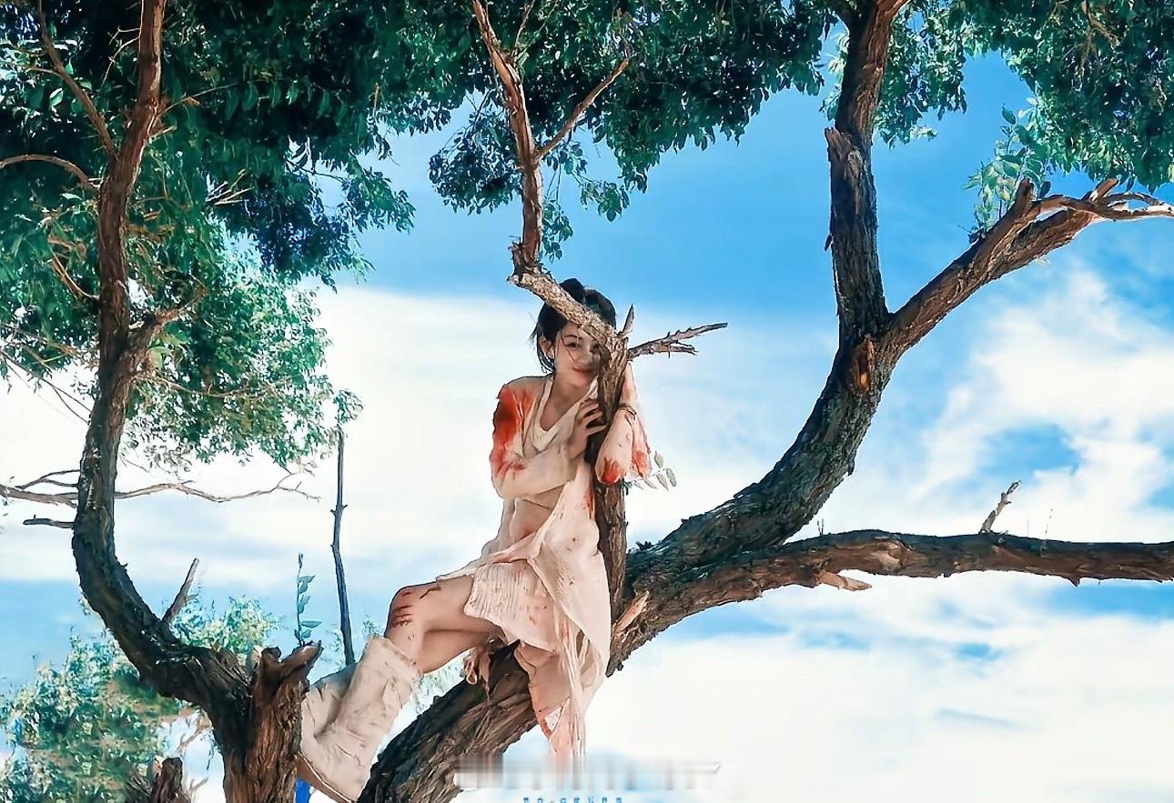 楚乔传 全员下场每播一个女将军、赵丽颖楚乔就会复火一次、可见真的很经典很多人喜欢