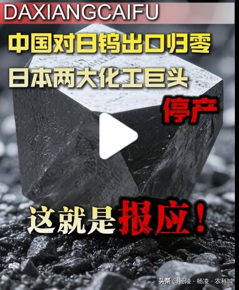 倒计时30天！海外六氟化钨正式断供，全球芯片供应链炸穿，中国掌控“工业牙齿”命脉