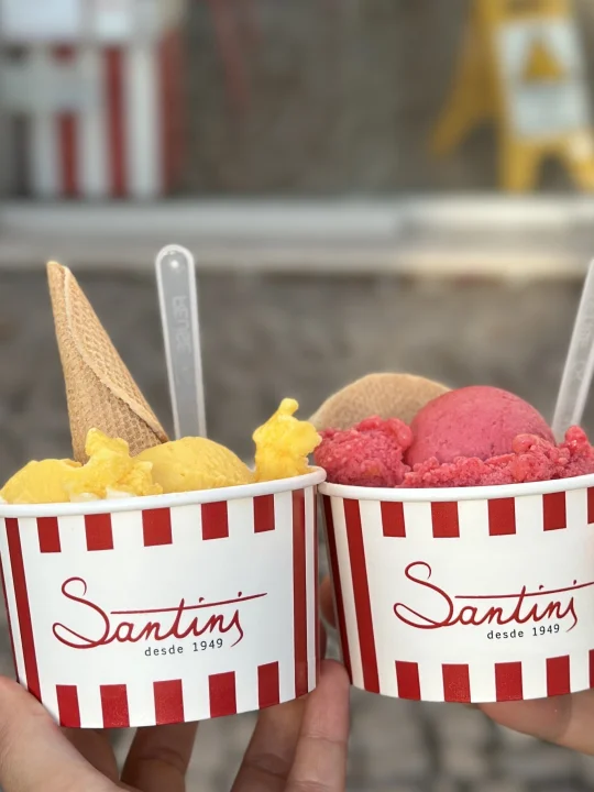 🇵🇹小镇吃到人生惊艳冰激凌！好吃到连吃3次