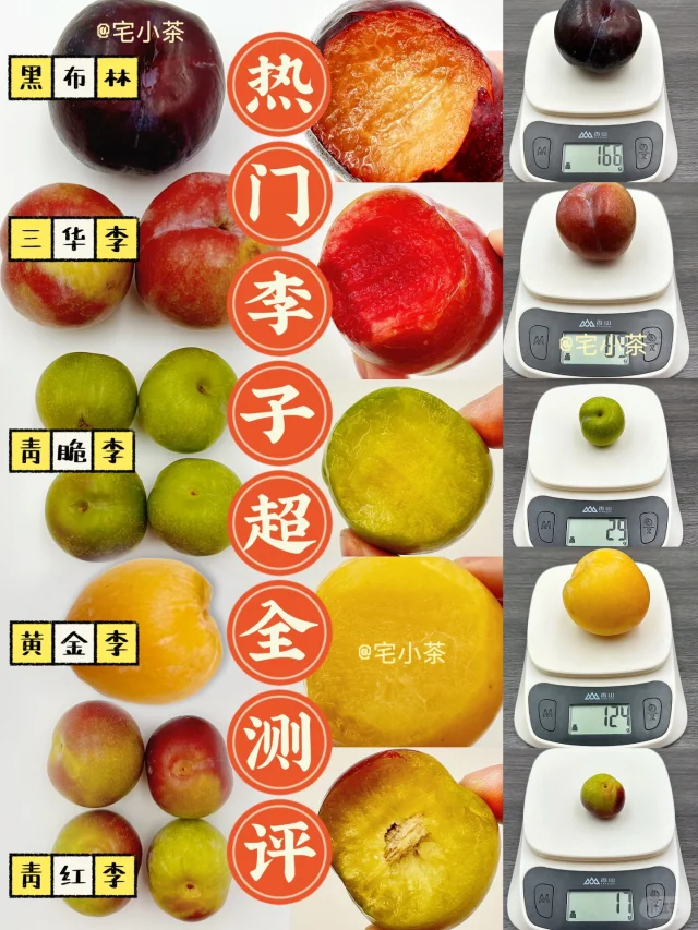 李子季节到‼️热门李子超全测评✅