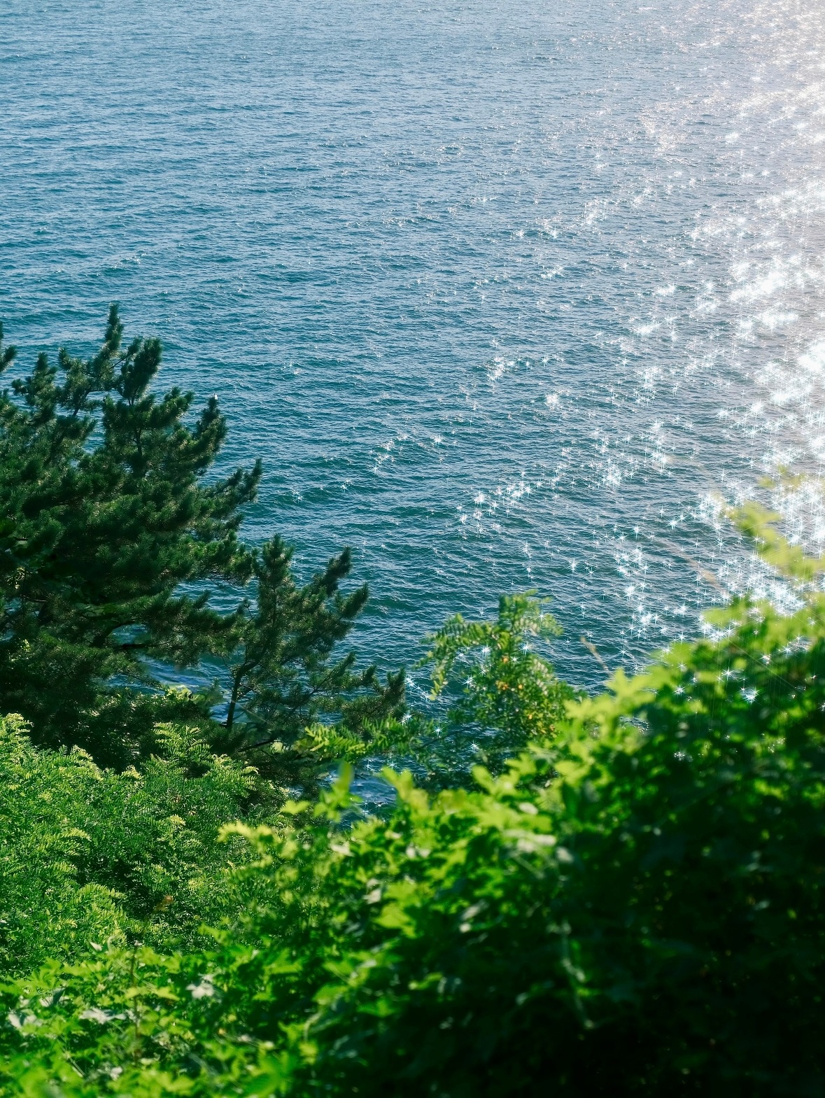 “Summer Breeze” 