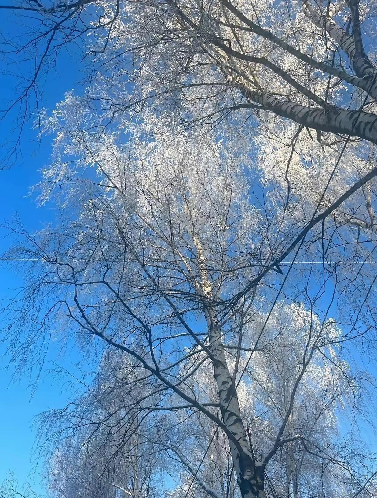 【射手座姐妹看过来！告别过去才能遇见更好的自己】  

花瓣轻轻飘落到泥土里，缘