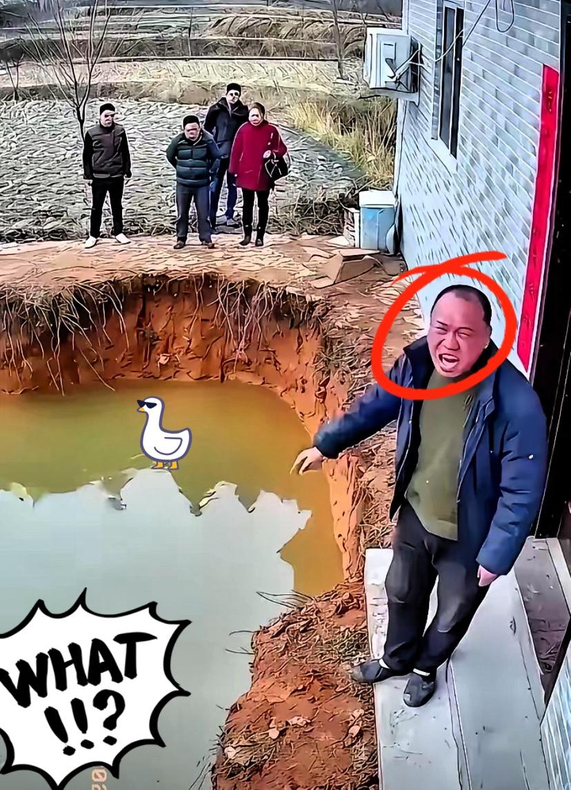 在广西农村，邻里之间争宅基地本不算新鲜事，但这位大哥的操作，真是把“捡芝麻丢西瓜