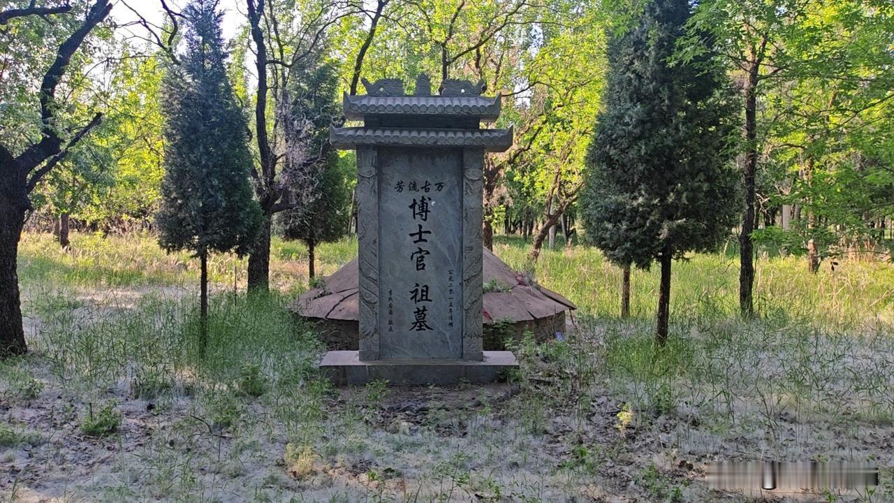 实地探访山东庆云县渤海路街道李博士村和博士坟的内容。 
李博士村在庆云县城北偏西