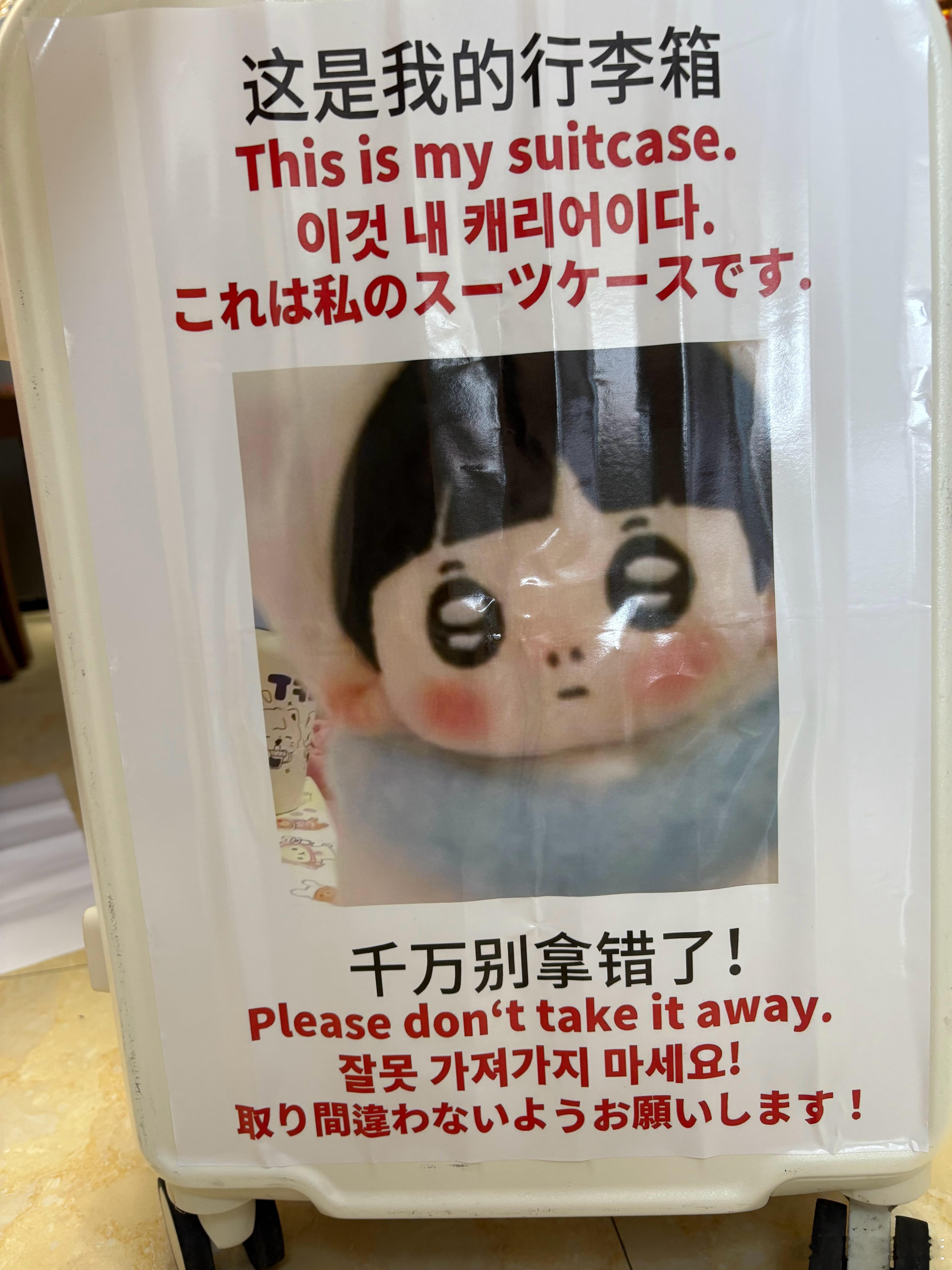 已严肃让呆子帮我守卫行李箱 
