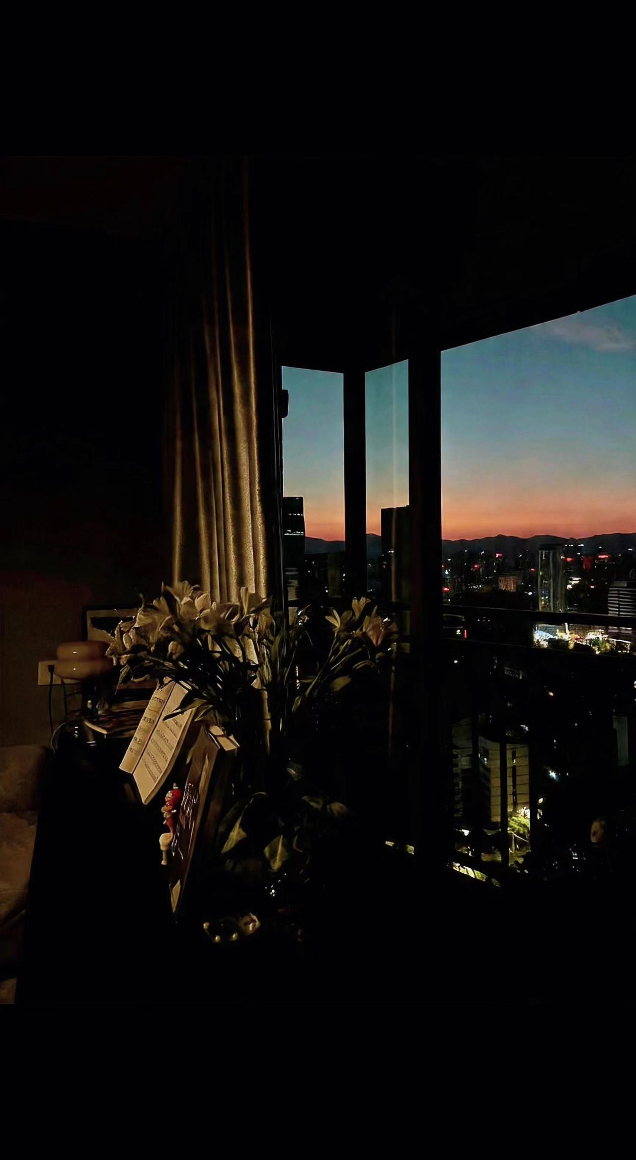 🌆黄昏把城市泡成蜜色酒，窗台上的百合在影子里写诗。孤独是无声的烟火，在眼眸里炸