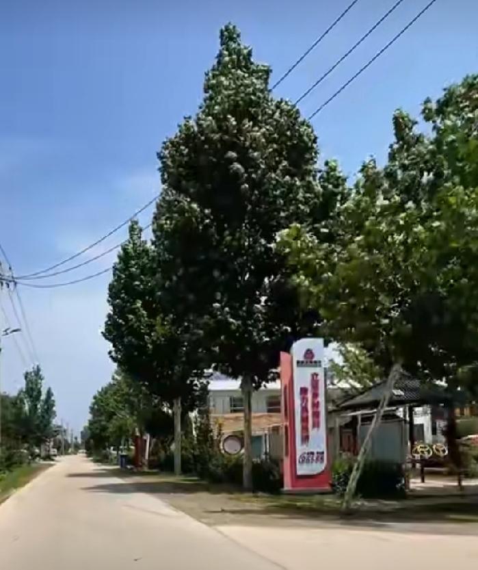 郓城县潘渡镇王屯村
在郓城县县城北部12.5公里处有个村落叫王屯，东与程屯镇肖庙