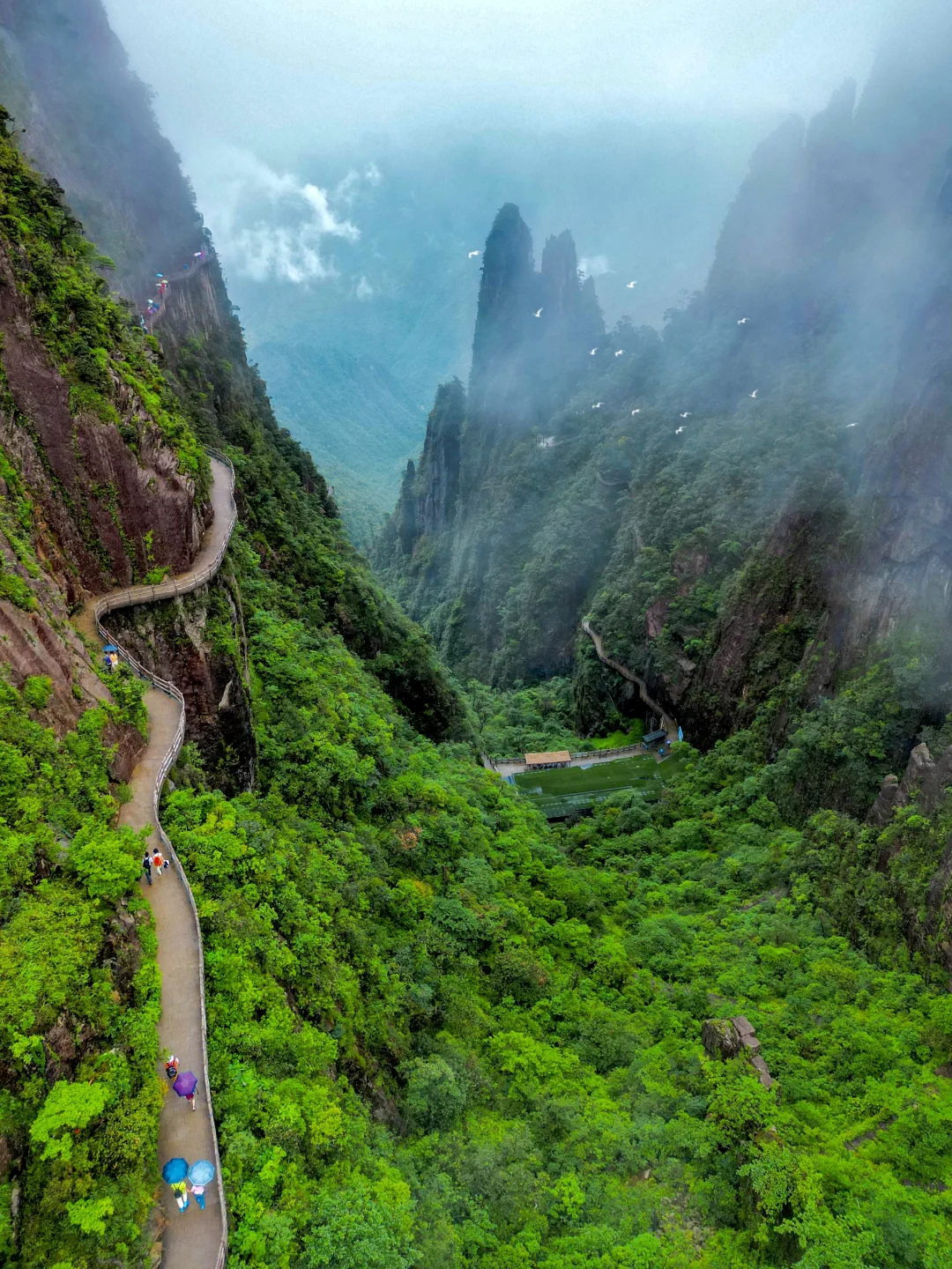 好凉爽！广东周边平均20℃的小众避暑秘境