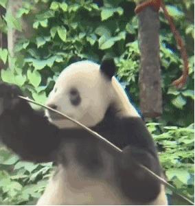 我至今想不明白，为啥我的 ET5T 没有前扶手箱 ​​​