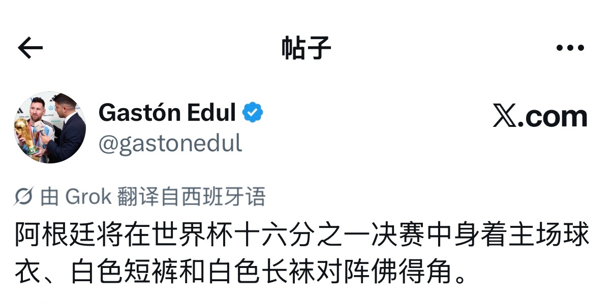 Gatston Edul｜在世界杯十六分之一决赛对阵佛得角的比赛中，阿根廷队将身