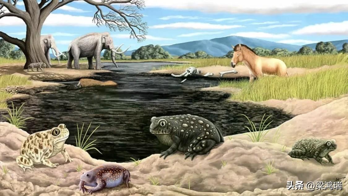美国洛杉矶最有名的史前遗址 La Brea Tar Pits（拉布雷亚沥青坑），