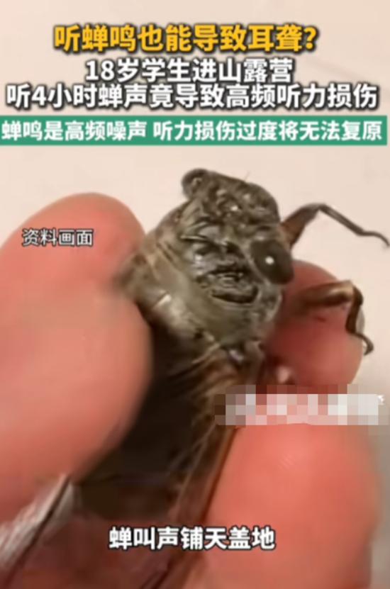 7月29日报道，浙江，一男生在密林露营时，蝉叫声铺天盖地，他也没带耳塞，觉得这就