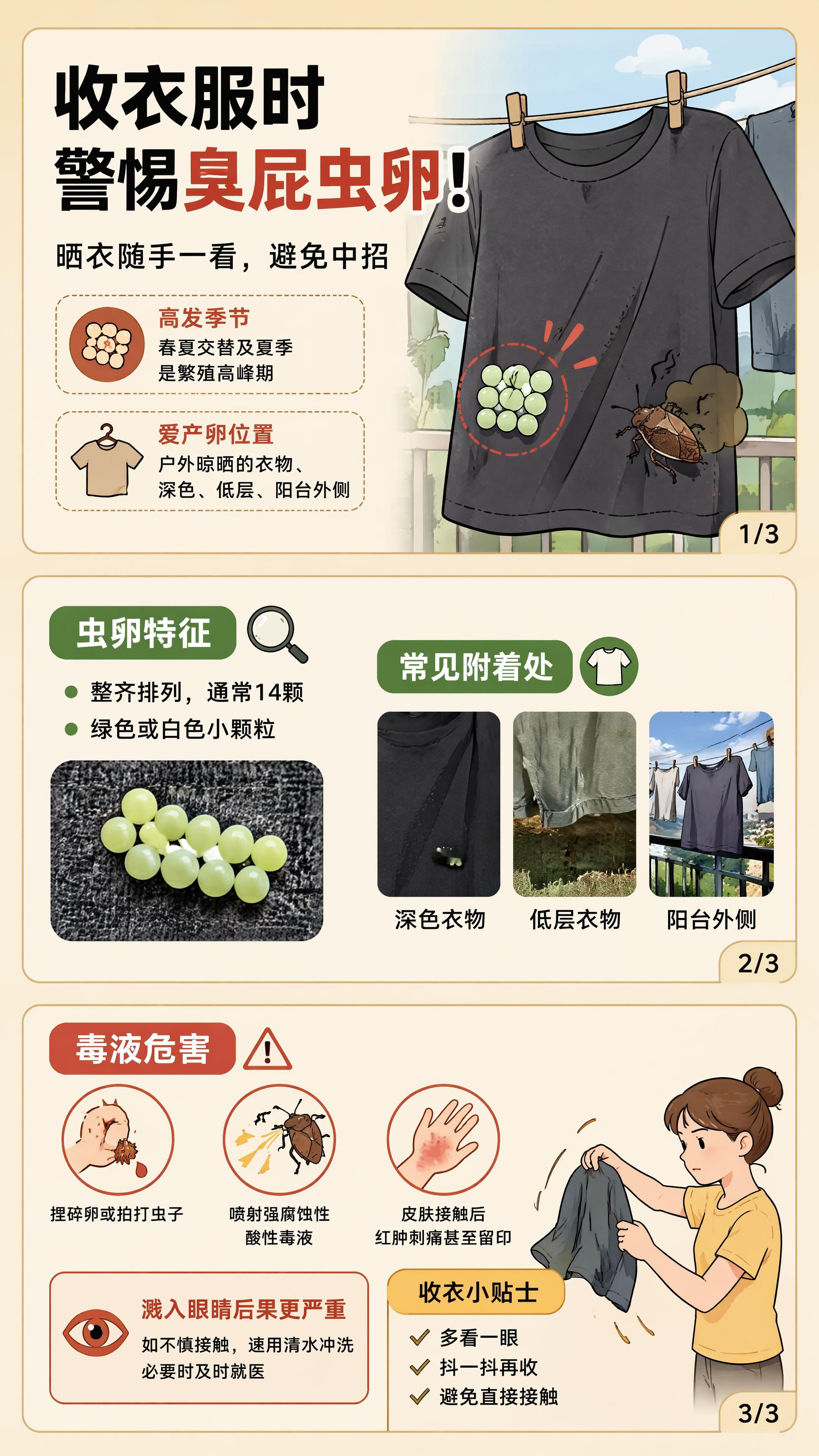 收衣服的时候一定要警惕性拉满 夏天是虫子最多的时候，收衣服一定得仔细检查了⚠️收