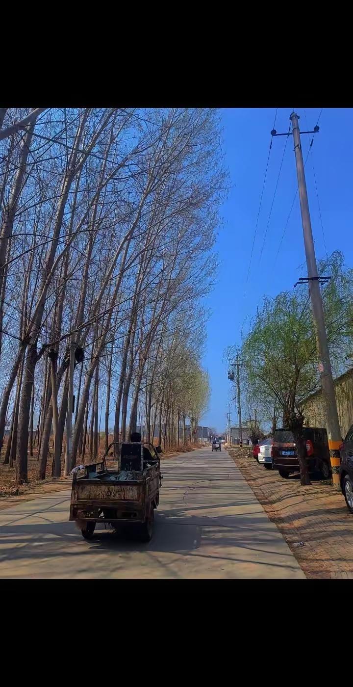 一位父亲写给儿子的一段话，看哭无数父母。孩子啊，人生一世，不容易，登天难，求人更