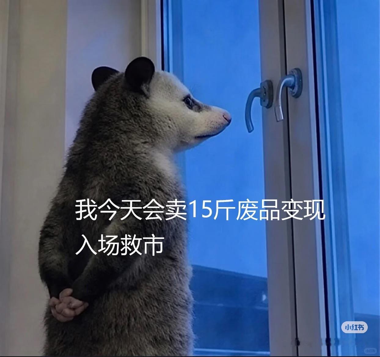 感觉这些剧都提前定好了在哪个热度感觉是可以跟平台有商量有价格的就看制作方或者艺人