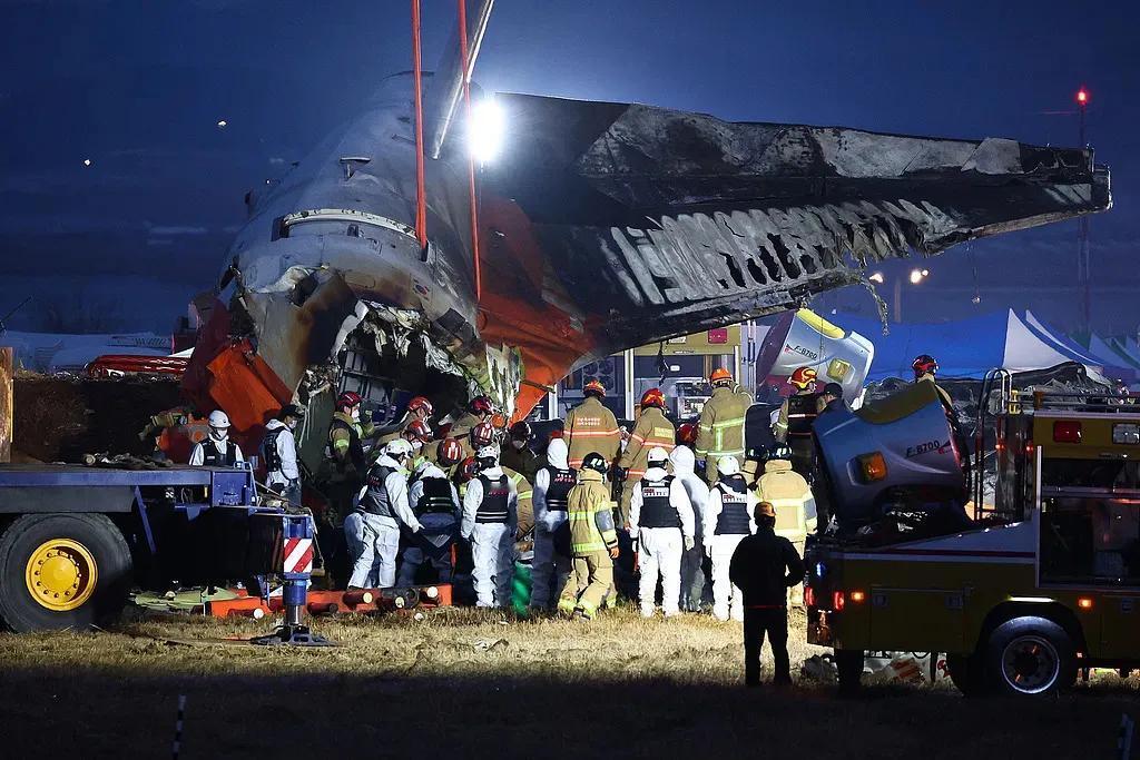 韩国飞机起火死亡升至178 人，飞机事故率高吗？看了一乘客最后遗言泪崩了…
“鸟