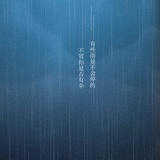 阿橙逛逛科技