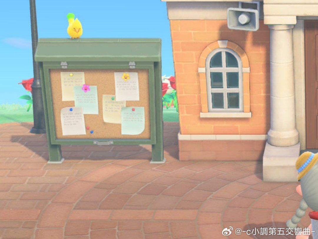 究竟怎么才能抓住这只鸟 